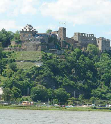 burg mit weinberg